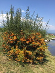 IMG 4574