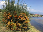 IMG 4573
