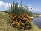 IMG 4572