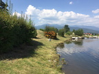 IMG 4571