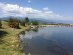 IMG 4570