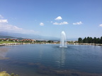 IMG 4568