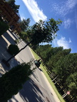 IMG 4715