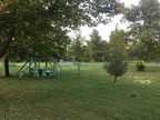 IMG 0424
