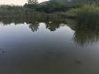 IMG 0423