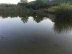 IMG 0422