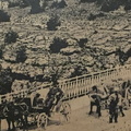 IMG 0809