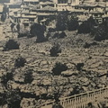 IMG 0810