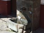 IMG 4384
