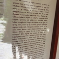 IMG 4362