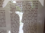 IMG 4358
