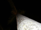PB040167
