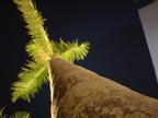 PB040168