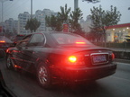 Picture 006