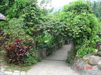 DSC01370