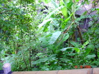 DSC01372