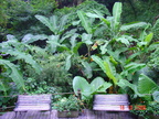 DSC01373