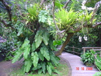 DSC01374