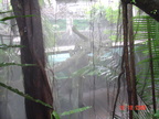 DSC01382