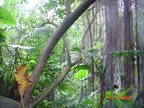 DSC01383