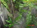 DSC01385
