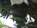 DSC01386