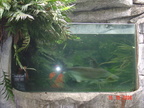 DSC01388