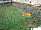 DSC01391