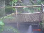 DSC01393
