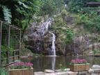 Evergreen Resort