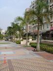 Pictures 028