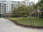 Pictures 029