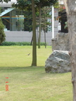 Pictures 030