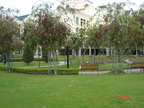 Pictures 032